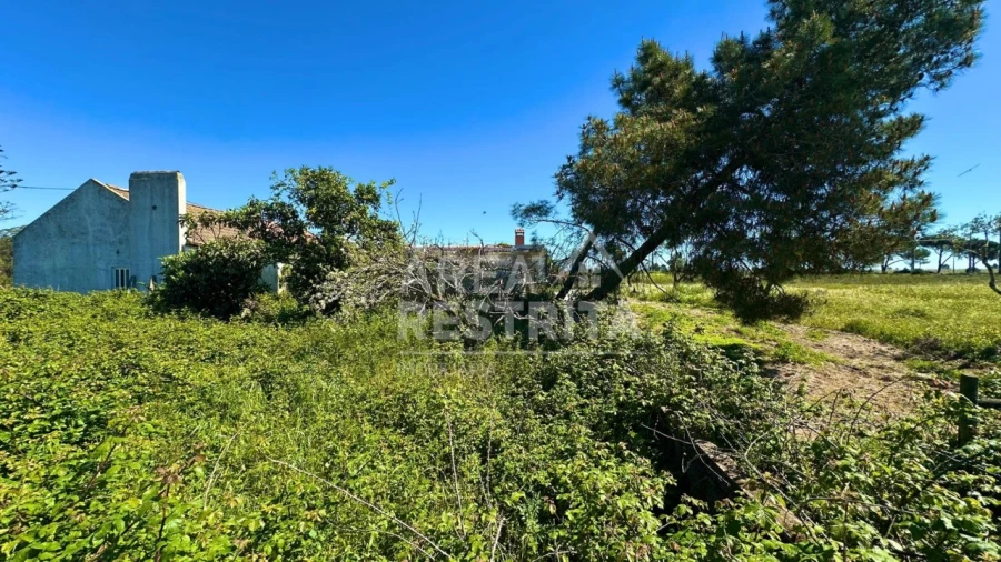 Moradia T2 para Venda em Canha Foto 27