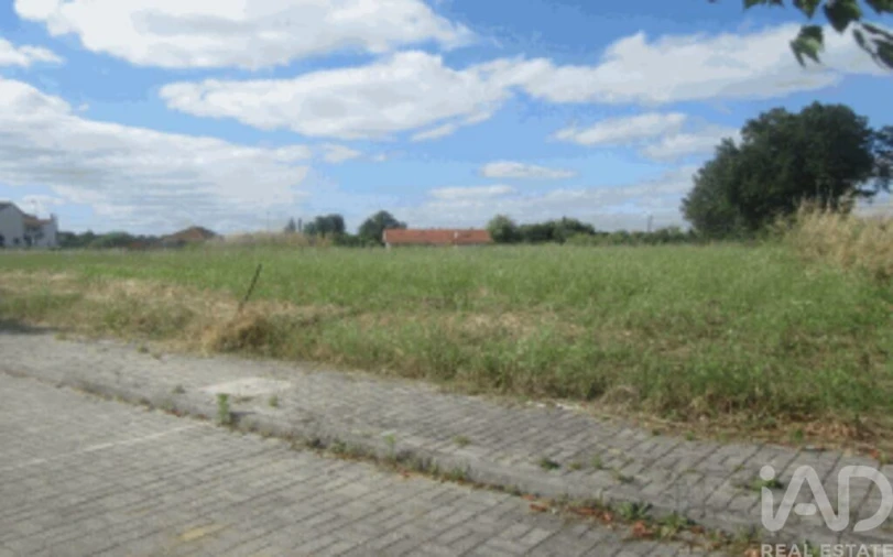 Terreno para Venda em Taveiro, Ameal e Arzila Foto 3