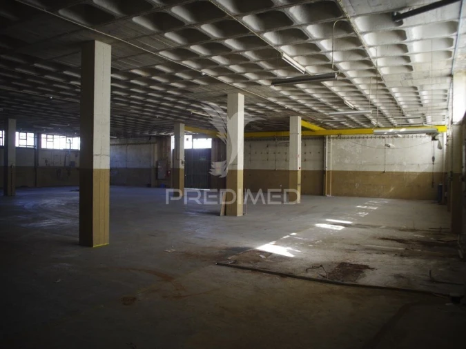 Armazém para Venda em Barcarena Foto 6