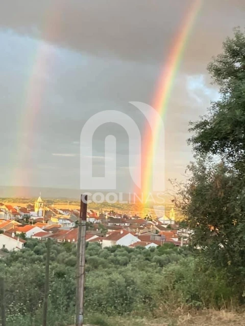 Moradia T7 para Venda em Monforte da Beira