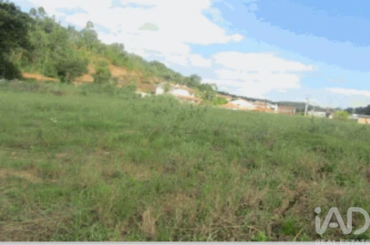 Terreno para Venda em Taveiro, Ameal e Arzila