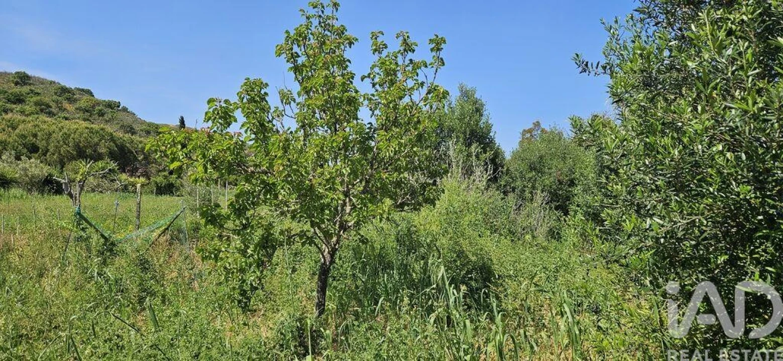 Terreno para Venda em Budens Foto 32