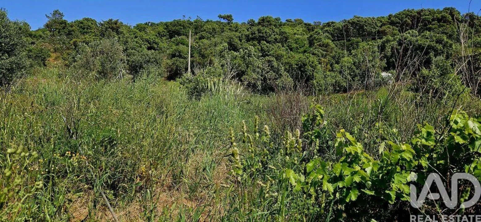 Terreno para Venda em Budens Foto 38