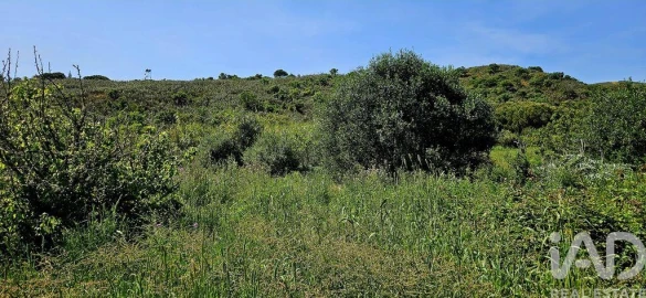 Terreno para Venda em Budens