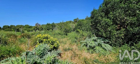 Terreno para Venda em Budens