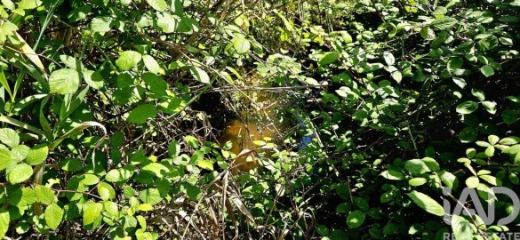 Terreno para Venda em Budens