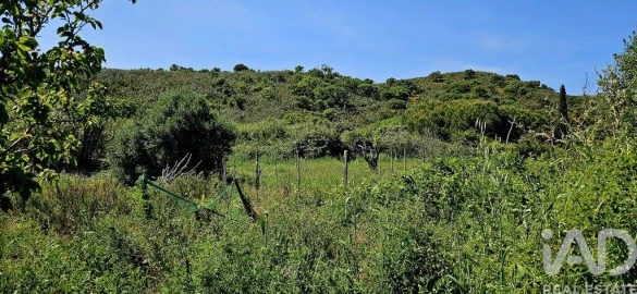 Terreno para Venda em Budens