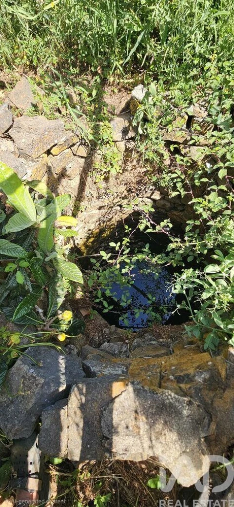 Terreno para Venda em Budens