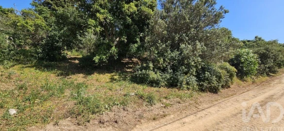 Terreno para Venda em Budens