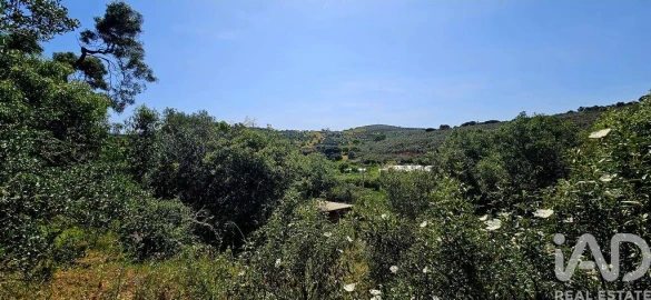 Terreno para Venda em Budens