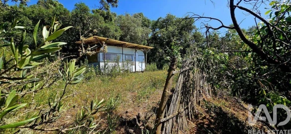 Terreno para Venda em Budens
