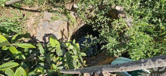 Terreno para Venda em Budens