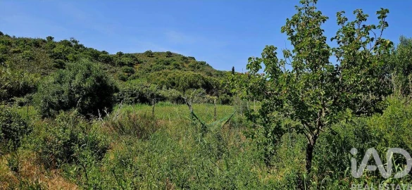 Terreno para Venda em Budens
