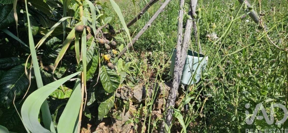 Terreno para Venda em Budens