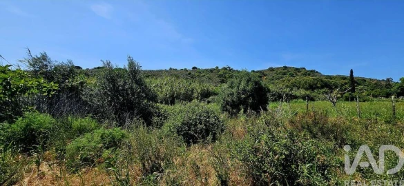 Terreno para Venda em Budens