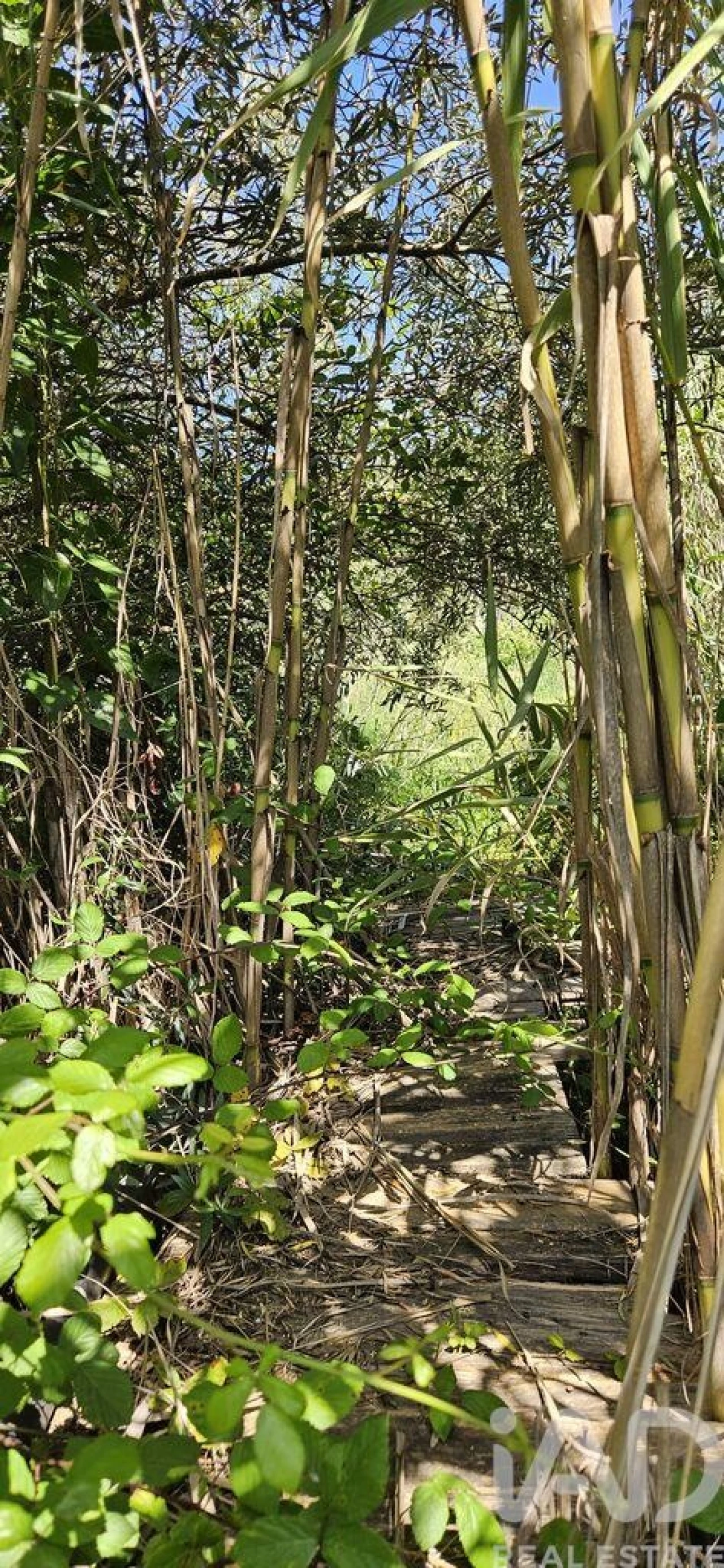 Terreno para Venda em Budens Foto 40