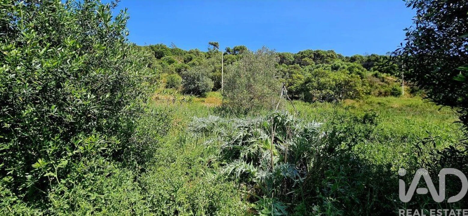 Terreno para Venda em Budens Foto 31