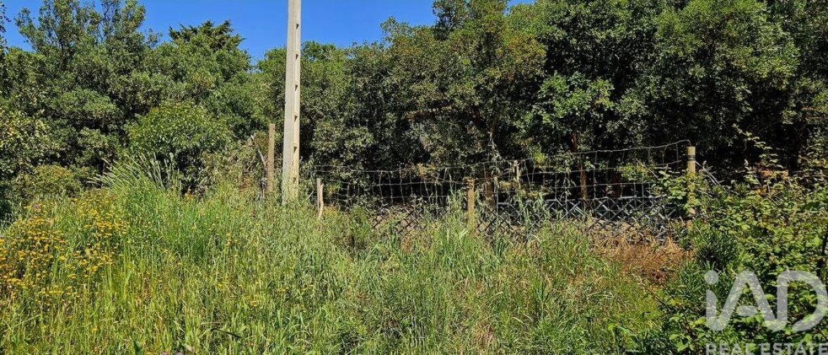 Terreno para Venda em Budens Foto 28