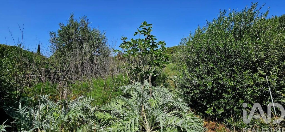 Terreno para Venda em Budens Foto 39