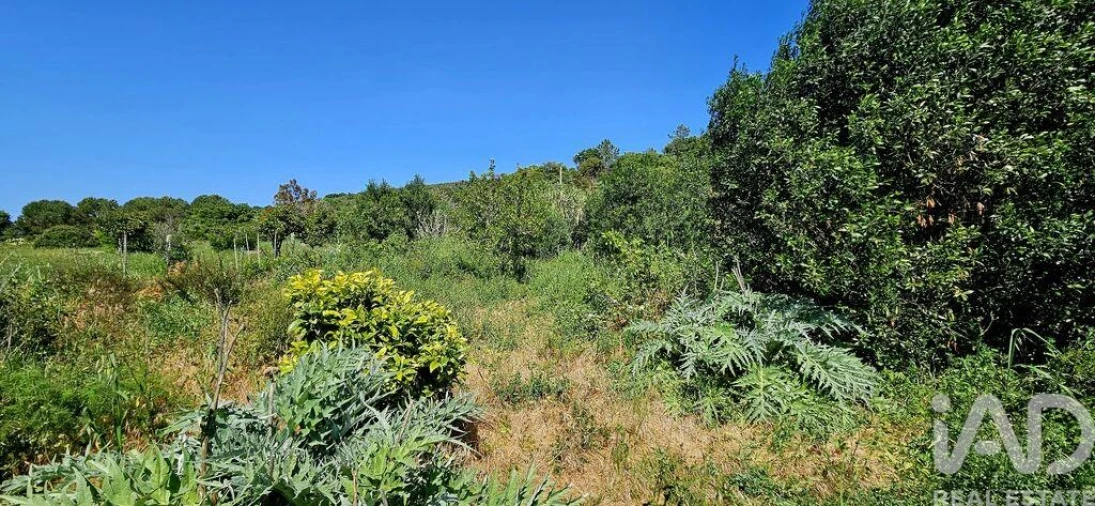 Terreno para Venda em Budens Foto 34