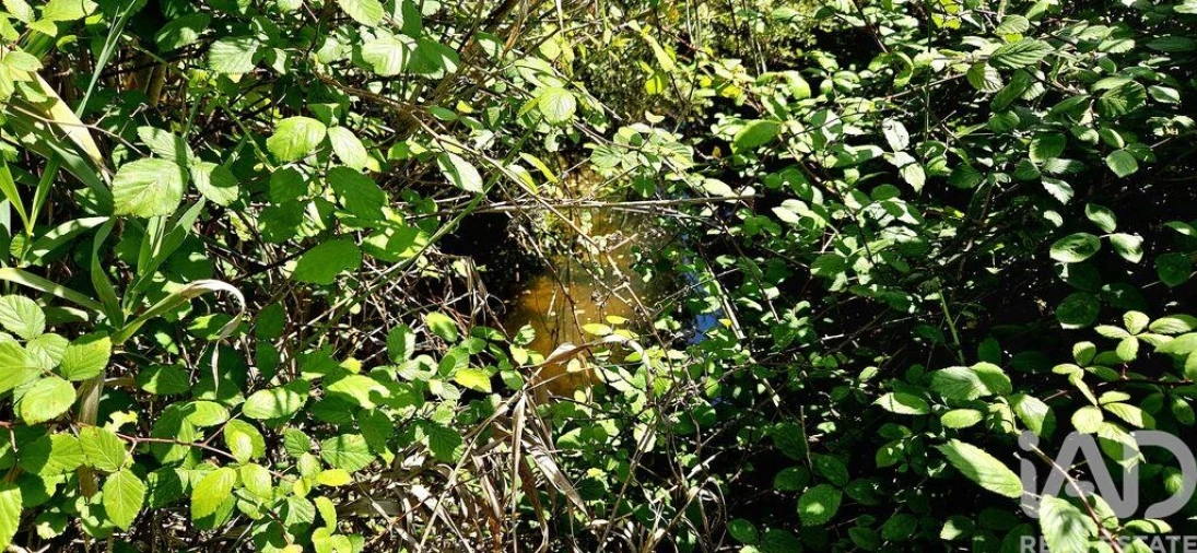 Terreno para Venda em Budens Foto 8