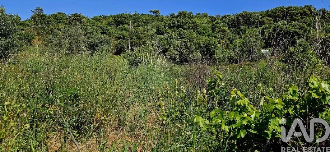 Terreno para Venda em Budens Foto 38