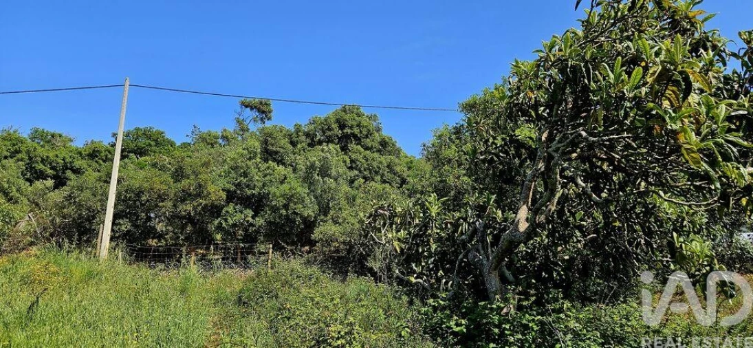Terreno para Venda em Budens Foto 30