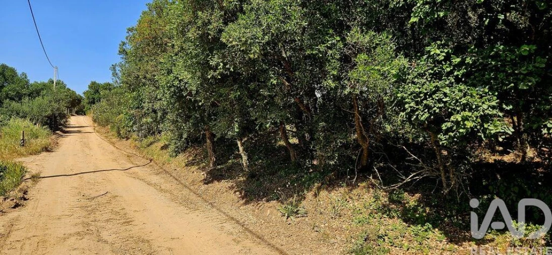 Terreno para Venda em Budens Foto 26