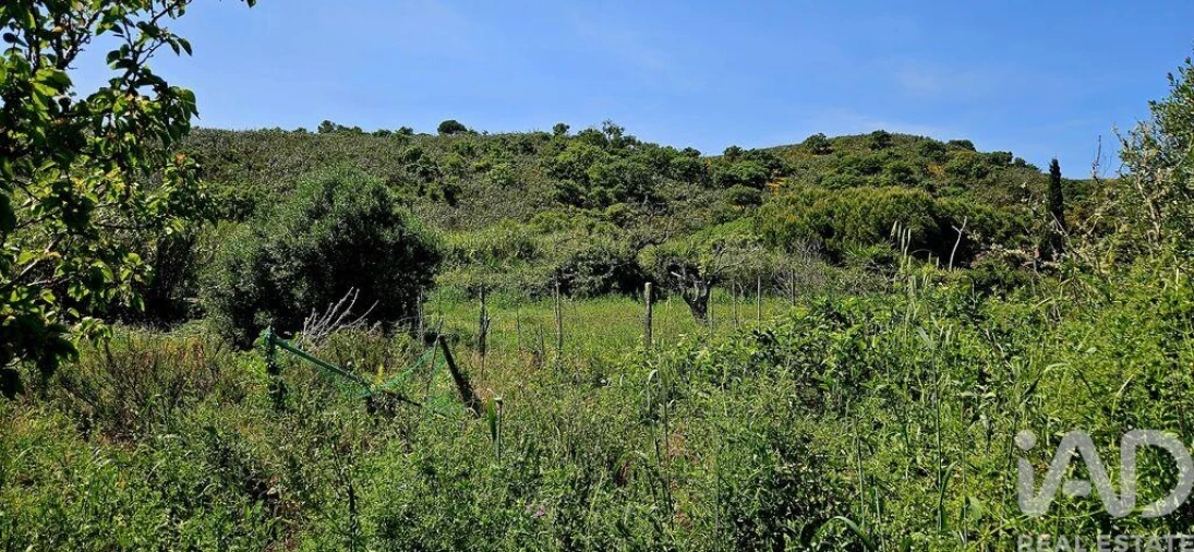 Terreno para Venda em Budens Foto 33