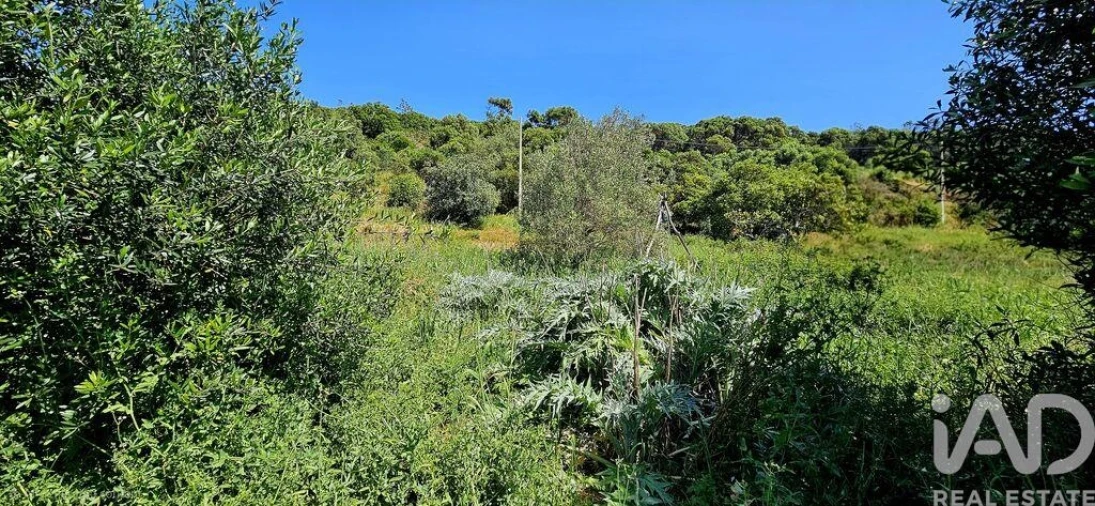 Terreno para Venda em Budens Foto 31