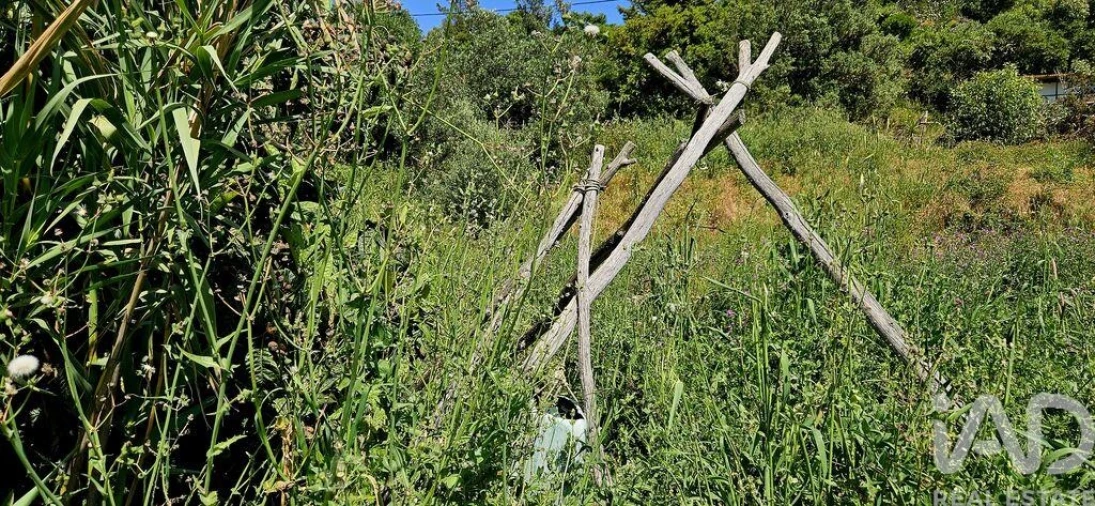 Terreno para Venda em Budens Foto 17