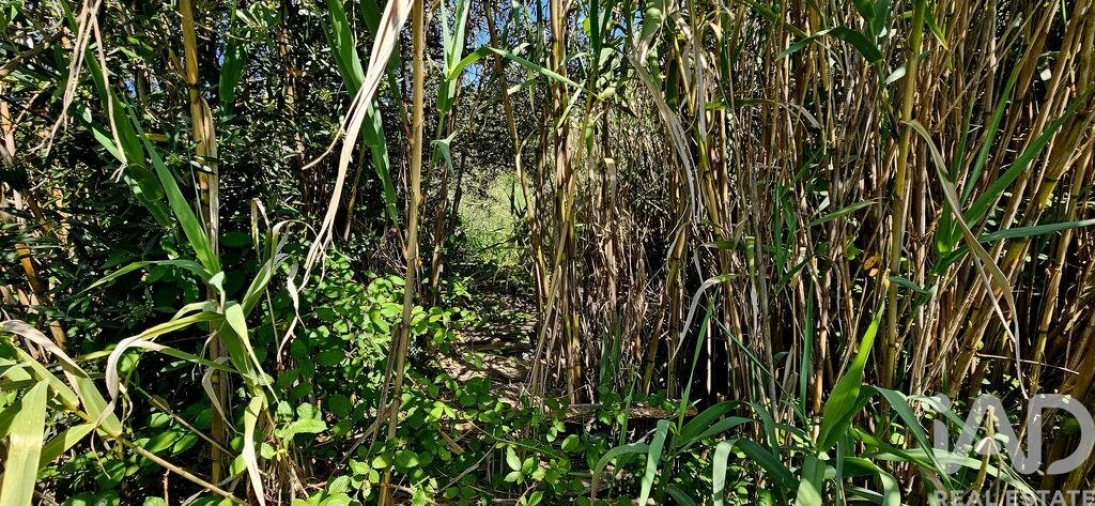 Terreno para Venda em Budens Foto 7