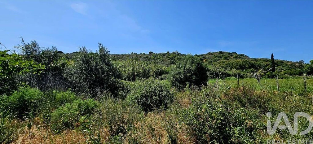 Terreno para Venda em Budens Foto 35