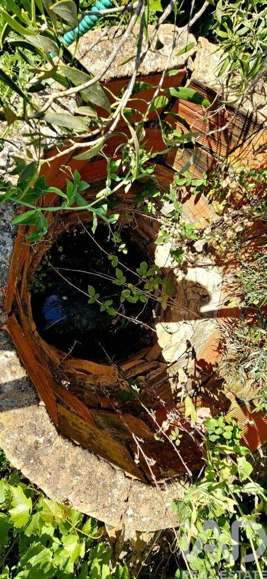 Terreno para Venda em Budens Foto 20
