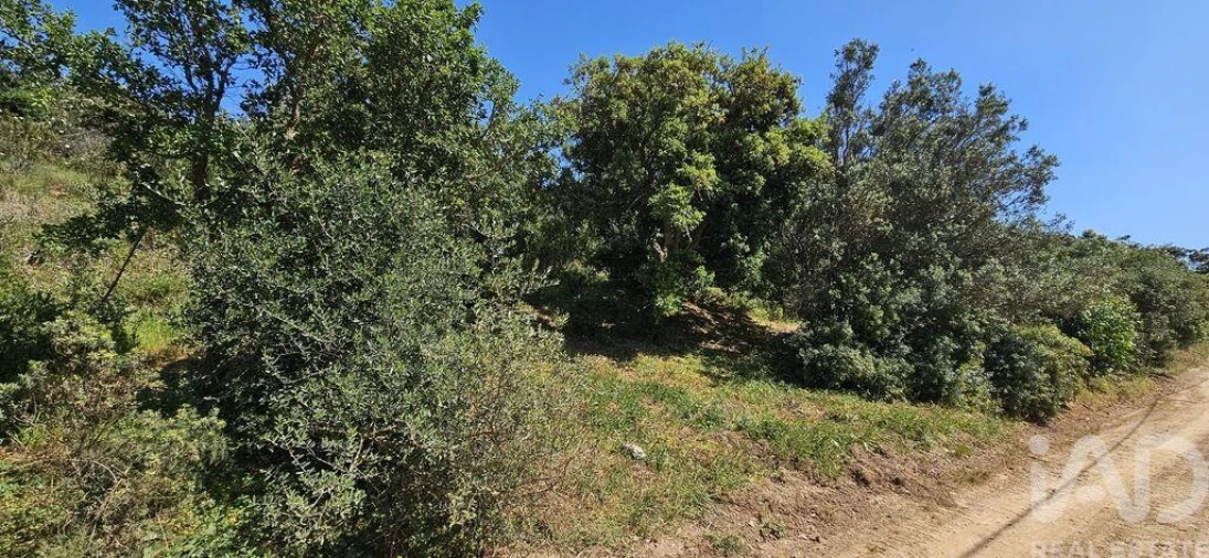 Terreno para Venda em Budens Foto 24