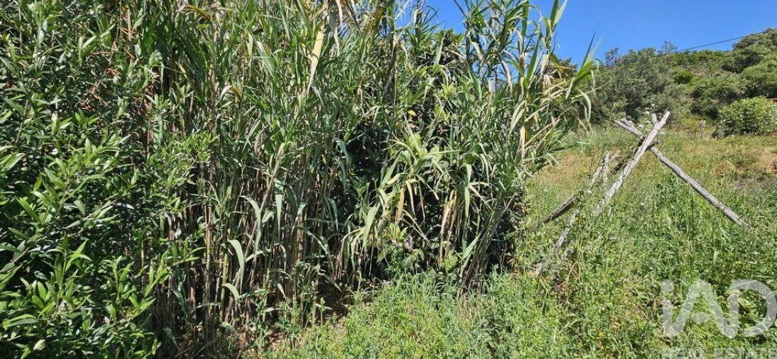 Terreno para Venda em Budens Foto 19
