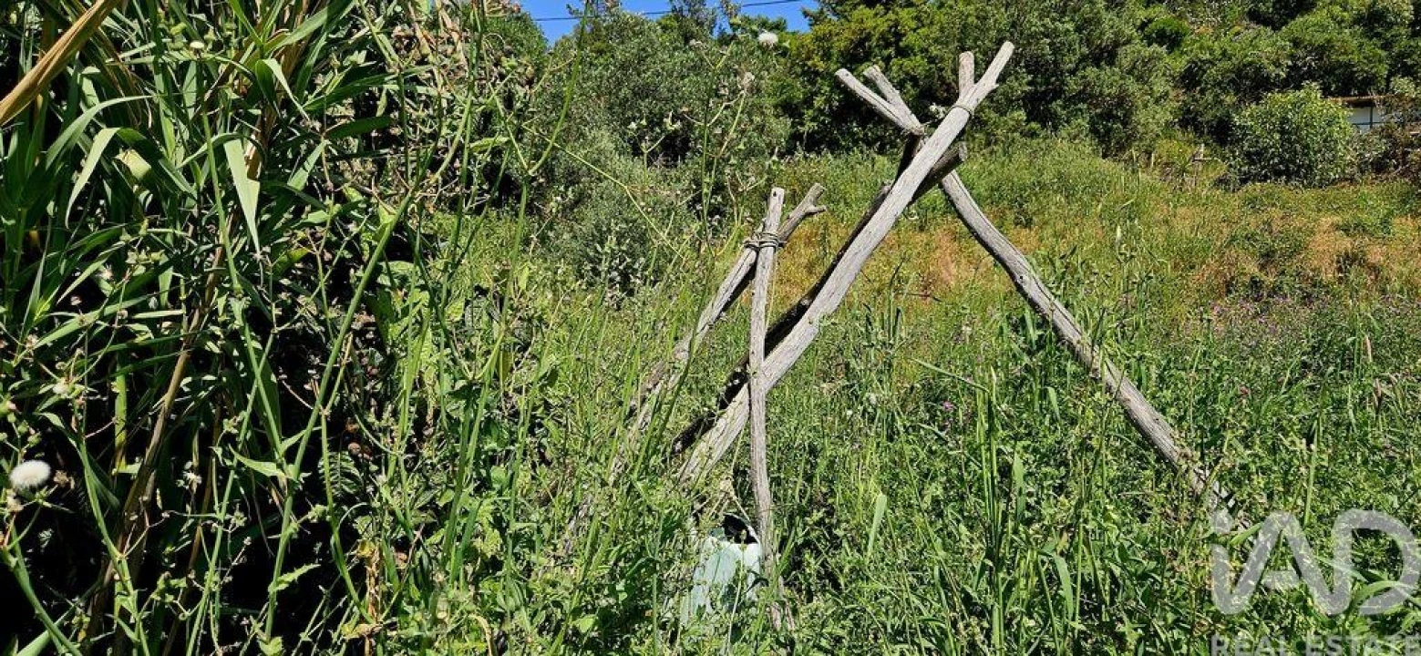 Terreno para Venda em Budens Foto 17