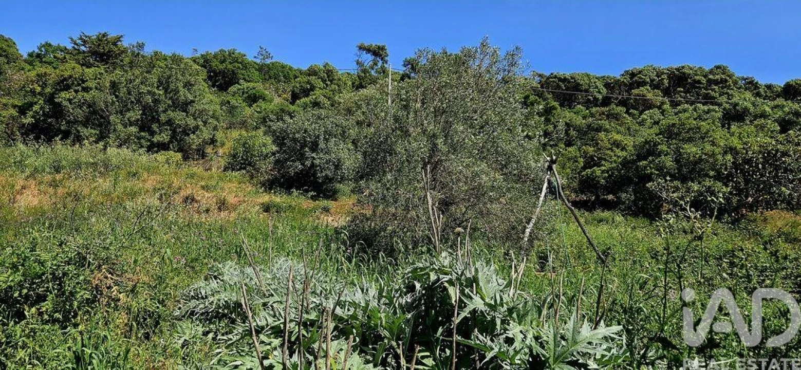 Terreno para Venda em Budens Foto 36