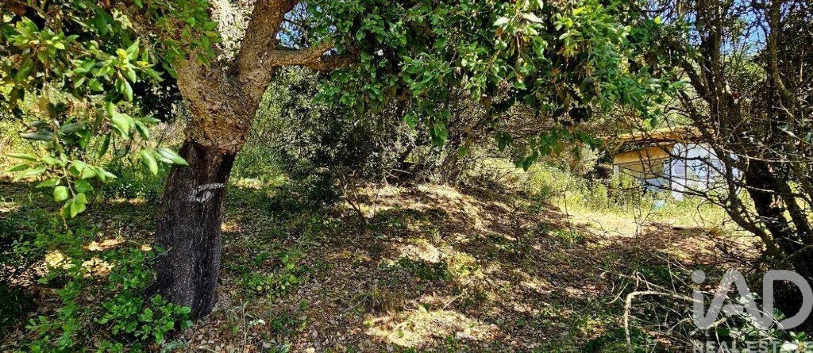 Terreno para Venda em Budens Foto 10