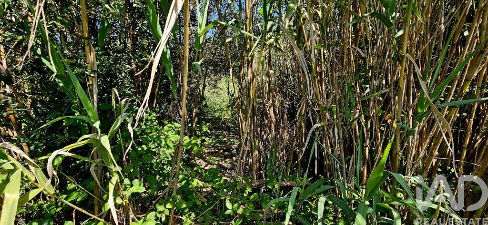 Terreno para Venda em Budens Foto 7