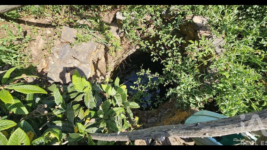 Terreno para Venda em Budens