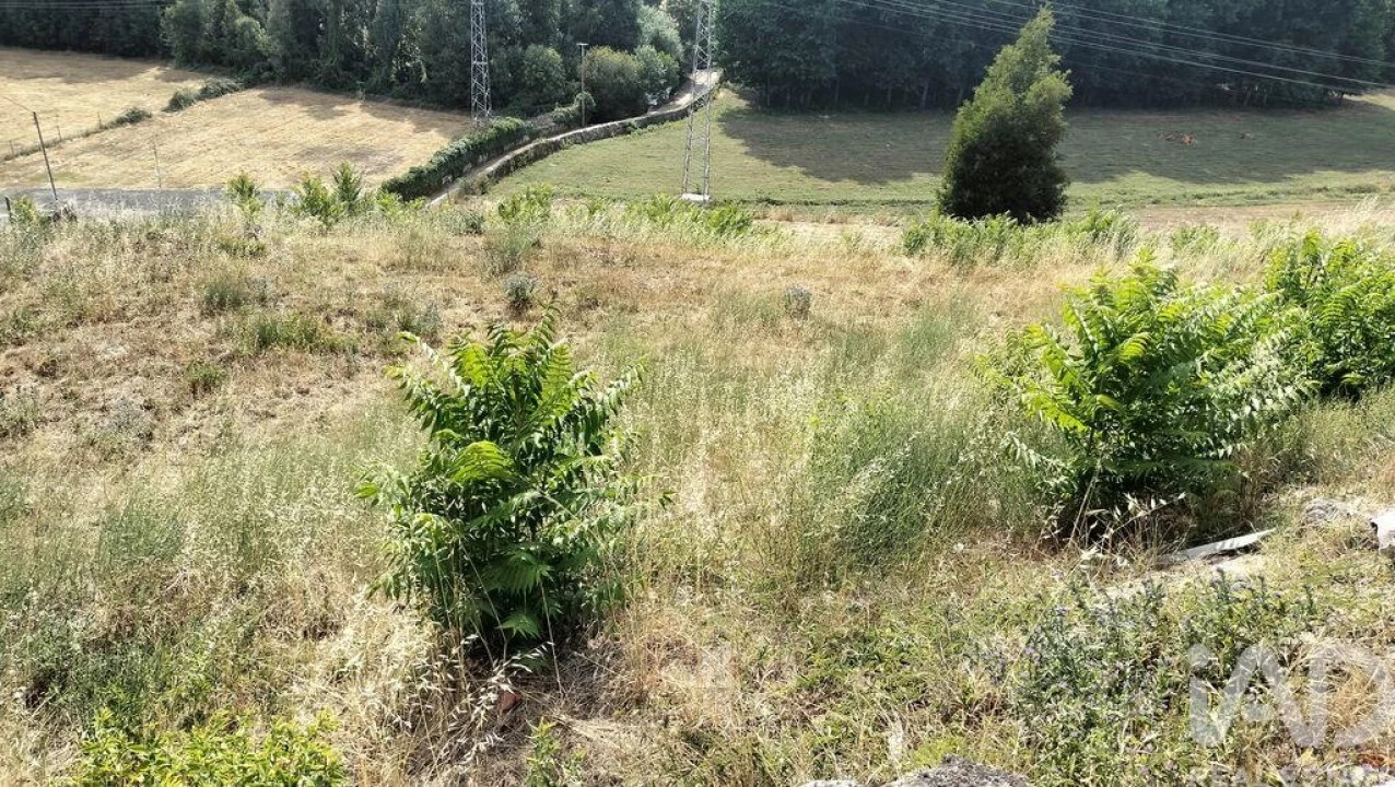Terreno para Venda em Pena, Quintã e Vila Cova Foto 4
