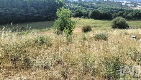 Terreno para Venda em Pena, Quintã e Vila Cova
