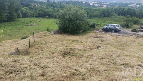 Terreno para Venda em Pena, Quintã e Vila Cova