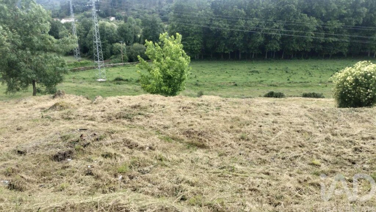 Terreno para Venda em Pena, Quintã e Vila Cova Foto 17
