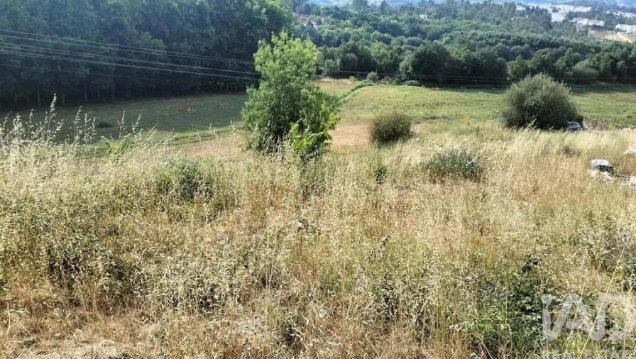 Terreno para Venda em Pena, Quintã e Vila Cova Foto 25