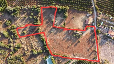 Terreno para Venda em Alcantarilha e Pêra