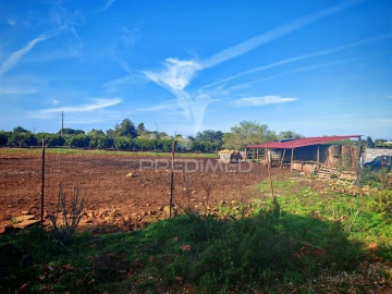 Terreno para Venda em Alcantarilha e Pêra