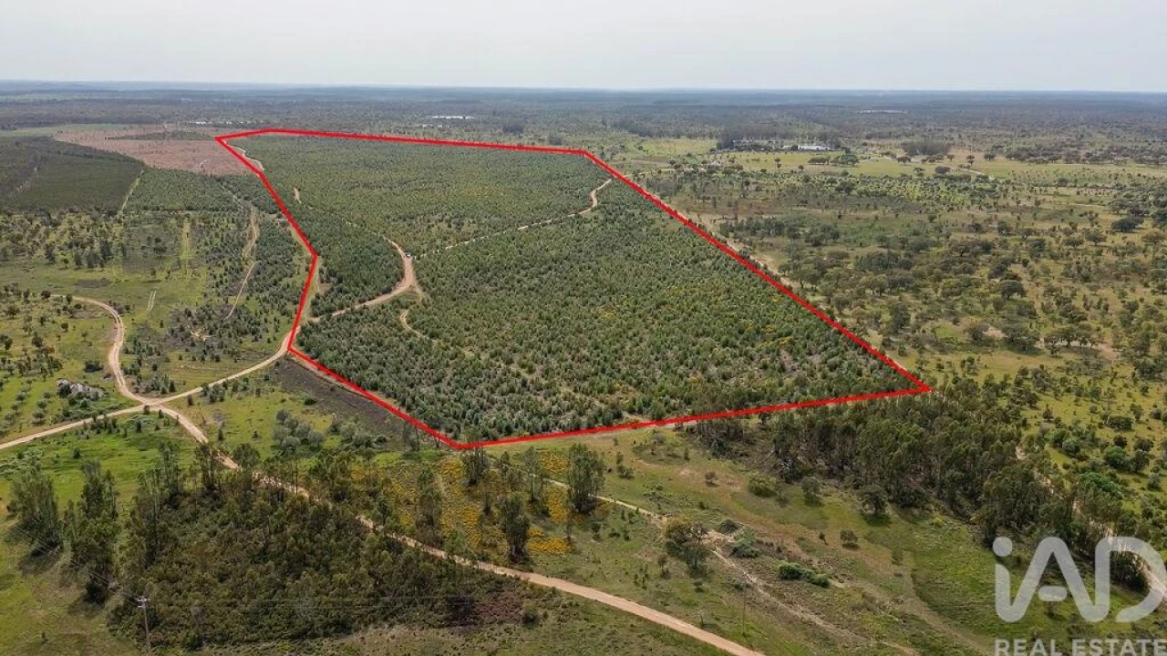 Terreno para Venda em Bemposta Foto 1