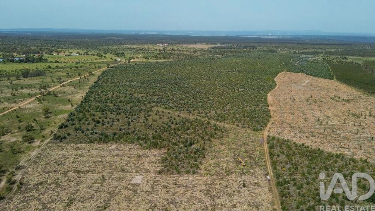Terreno para Venda em Bemposta Foto 28